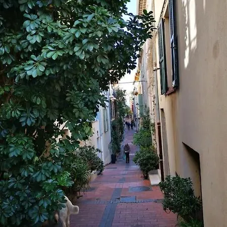 Antibes Apartmán *
